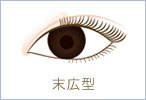 末広型